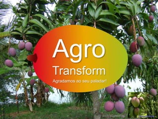 Agro
Transform

Agro
Transform
Agradamos ao seu paladar!

 