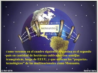 C omo veremos en el cuadro siguiente Argentina es el segundo país en cantidad de hectáreas cultivadas con semillas transgénicas, luego de EEUU, y que utilizan los “paquetes tecnológicos” de las multinacionales como Monsanto. 
