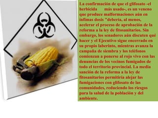 La confirmación de que el glifosato -el herbicida    más usado-, es un veneno que produce malformaciones aún en ínfimas dosis "debería, al menos, acelerar el proceso de aprobación de la reforma a la ley de fitosanitarios. Sin embargo, los senadores aún discuten qué hacer y el Ejecutivo sigue encerrado en su propio laberinto, mientras avanza la campaña de siembra y los teléfonos comienzan a ponerse al rojo vivo con las denuncias de los vecinos fumigados de todo el territorio provincial. La media sanción de la reforma a la ley de fitosanitarios permitiría alejar las fumigaciones con glifosato de las comunidades, reduciendo los riesgos para la salud de la población y del ambiente.  