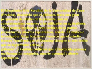 El bioquímico Eric Seralini, de la Universidad de Caen (Francia), descubrió que el glifosato mata una gran proporción de células de la placenta, aun en concentraciones menores a las utilizadas en agricultura. “Esto podría explicar la gran incidencia de partos prematuros y abortos espontáneos, señaló. El médico e investigador Jorge Kaczewer remarcó que el estudio francés “confirmó que el Roundup siempre es más tóxico que su ingrediente activo, el  glifosato”, y también confirmó que el herbicida provoca malformación congénita, muerte neonatal y aborto espontáneo.  