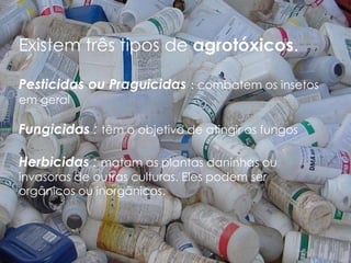 Existem três tipos de agrotóxicos.
Pesticidas ou Praguicidas : combatem os insetos
em geral

Fungicidas : têm o objetivo de atingir os fungos
Herbicidas : matam as plantas daninhas ou
invasoras de outras culturas. Eles podem ser
orgânicos ou inorgânicos.

 
