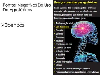 Pontos Negativos Do Uso
De Agrotóxicos

Doenças

 