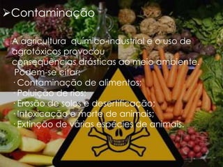 Contaminação
A agricultura químico-industrial e o uso de
agrotóxicos provocou
consequências drásticas ao meio ambiente.
Podem-se citar:
· Contaminação de alimentos;
· Poluição de rios;
· Erosão de solos e desertificação;
· Intoxicação e morte de animais;
· Extinção de várias espécies de animais.

 