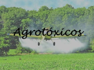 Agrotóxicos

 
