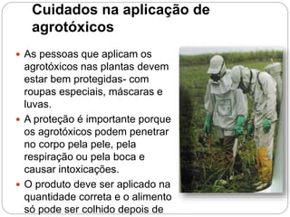 Cuidados na aplicação de
agrotóxicos
 As pessoas que aplicam os
agrotóxicos nas plantas devem
estar bem protegidas- com
roupas especiais, máscaras e
luvas.
 A proteção é importante porque
os agrotóxicos podem penetrar
no corpo pela pele, pela
respiração ou pela boca e
causar intoxicações.
 O produto deve ser aplicado na
quantidade correta e o alimento
só pode ser colhido depois de
 