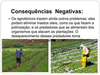Consequências Negativas:
 Os agrotóxicos trazem ainda outros problemas: eles
podem eliminar insetos úteis, como os que fazem a
polinização, e os predadores que se alimentam dos
organismos que atacam as plantações. O
desaparecimento desses predadores torna
necessário o uso de maiores quantidades de
agrotóxicos.
 