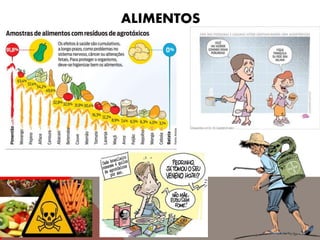 ALIMENTOS
 