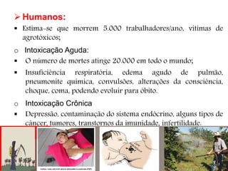  Humanos:
 Estima-se que morrem 5.000 trabalhadores/ano, vítimas de
agrotóxicos;
o Intoxicação Aguda:
 O número de mortes atinge 20.000 em todo o mundo;
 Insuficiência respiratória, edema agudo de pulmão,
pneumonite química, convulsões, alterações da consciência,
choque, coma, podendo evoluir para óbito.
o Intoxicação Crônica
 Depressão, contaminação do sistema endócrino, alguns tipos de
câncer, tumores, transtornos da imunidade, infertilidade.
 