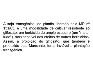 A soja transgênica, de plantio liberado pela MP nº
131/03, é uma modalidade de cultivar resistente ao
glifosato, um herbicida de amplo espectro (um "mata-
tudo"), mas sensível aos efeitos de outros herbicidas.
Assim, a proibição do glifosato, que também é
produzido pela Monsanto, torna inviável a plantação
transgênica.
 
