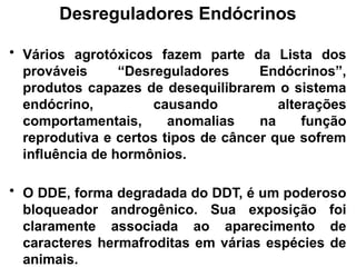 Desreguladores Endócrinos
• Vários agrotóxicos fazem parte da Lista dos
prováveis “Desreguladores Endócrinos”,
produtos capazes de desequilibrarem o sistema
endócrino, causando alterações
comportamentais, anomalias na função
reprodutiva e certos tipos de câncer que sofrem
influência de hormônios.
• O DDE, forma degradada do DDT, é um poderoso
bloqueador androgênico. Sua exposição foi
claramente associada ao aparecimento de
caracteres hermafroditas em várias espécies de
animais.
 