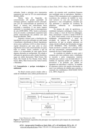 Leonardo Barreto Tavella /Agropecuária Científica no Semi-Árido, UFCG - Patos - PB. ISSN 1808-6845

utilizados. Sendo o principio ativo cipermetrina
responsável por mais de 55% da comercialização
IBAMA (2009).
Muitos
tipos
de
fungicidas
são
comercializados sob grande quantidade de
estruturas químicas, ocupando terceira colocação,
com 22% da comercialização de agrotóxicos no
Brasil. A maioria tem relativamente baixa
toxicidade a mamíferos. E seu maior impacto
ambiental é a toxicidade para os microrganismos
do solo (EDWARDS, 1998). Sendo os princípios
ativos do enxofre e carbendazim responsável pela
grande comercialização dos produtos com ação
fungicida (IBAMA, 2009).
Segundo o mesmo autor a distribuição dos
ingredientes ativos mais utilizados em cada estado
é semelhante à distribuição no Brasil. Ingredientes
ativos como o glifosato, 2,4-D e os óleos mineral e
vegetal destacam-se por estar entre os cinco
ingredientes ativos mais comercializados em quase
todos os estados. Assim, conforme o tipo da
cultura e as necessidades de cada região haverá
algumas alterações na configuração. Em relação a
utilização de agrotóxicos pelos estados brasileiros,
segue em ordem decrescente: Mato Grosso, São
Paulo, Rio Grande do Sul, Paraná, Goiás, Minas
Gerais, Bahia, Mato Grosso do Sul, Santa Catarina
e Maranhão.
1.2 Consequências e perigos toxicológicos e
ambientais
No Brasil existem poucos estudos sobre a
saúde do trabalhador rural, embora profissionais de

saúde e de extensão rural, considerem frequente
esta morbidade entre os agricultores. Machado e
Gomes (1994) remetendo-se sob a negligência das
ocorrências dos acidentes de trabalho no meio
rural inclusive no caso das intoxicações por
agrotóxicos e suas conseqüências, considera que
seja pertinente a suposição da existência de
epidemias
submersas
na
incompetência
institucional.
No preparo de calda de agrotóxicos, o
trabalhador manipula a embalagem, rompe o lacre,
retira a tampa e o lacre do bocal da embalagem,
dosa a formulação e recoloca a tampa (TÁCIO et
al., 2010). Neste sentido, o risco de intoxicação do
trabalhador consequentemente é maior nas
atividades de preparo de formulações de
agrotóxicos, do que na própria aplicação em
campo, devido à diluição das formulações em água
(VAN HEMMEN, 1992; OLIVEIRA, 2000).
Sendo inevitável o contado com o princípio ativo
sob alta concentração, consequentemente maior
exposição de risco à saúde humana.
As condições de trabalho no meio rural é
composta pelo meio ambiente onde o trabalhador
se encontra e pelos componentes materiais
utilizados para realizar a sua atividade laboral. As
medidas de segurança podem ser agrupadas em
preventivas e de proteção, que, podem ser
agrupadas em individuais e coletivas. As medidas
de segurança coletiva são aquelas relacionadas ao
meio e aos ambientes de trabalho para controlar a
exposição dos trabalhadores (MACHADO NETO
et al., 2007). (Figura 2).

Fonte: Moreira et al., 2002.

Figura 2 - Representação esquemática das principais vias responsáveis pelo impacto da contaminação
humana por agrotóxicos.
ACSA - Agropecuária Científica no Semi-Árido, v.07, n 02 abril/junho 2011 p. 06 - 12
www.cstr.ufcg.edu.br/acsa e http://150.165.111.246/ojs-patos/index.php/ACSA/index

 