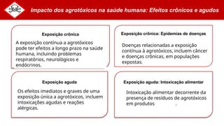 Impacto dos agrotóxicos na saúde humana: Efeitos crônicos e agudos
Exposição crônica
A exposição contínua a agrotóxicos
pode ter efeitos a longo prazo na saúde
humana, incluindo problemas
respiratórios, neurológicos e
endócrinos.
Exposição crônica: Epidemias de doenças
Doenças relacionadas a exposição
contínua à agrotóxicos, incluem câncer
e doenças crônicas, em populações
expostas.
Exposição aguda
Os efeitos imediatos e graves de uma
exposição única a agrotóxicos, incluem
intoxicações agudas e reações
alérgicas.
Exposição aguda: Intoxicação alimentar
Intoxicação alimentar decorrente da
presença de resíduos de agrotóxicos
em produtos agrícolas.
 