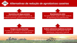 Alternativas de redução de agrotóxicos caseiras
Vinagre ou suco de limão
A acidez ajuda a reduzir resíduos químicos
e também combate micro-organismos.
Bicarbonato de sódio
Sua ação alcalina ajuda a soltar resíduos
de agrotóxicos da superfície dos
alimentos.
.
Escovinha com água corrente
O atrito remove sujeiras e resíduos de
produtos químicos, principalmente em cascas
firmes.
Preferir alimentos orgânicos ou locais
Esses alimentos têm menor uso de
agrotóxicos, reduzindo o risco de
contaminação química.
 