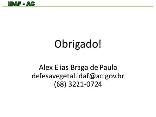 Obrigado! 
Alex Elias Braga de Paula 
defesavegetal.idaf@ac.gov.br 
(68) 3221-0724 
