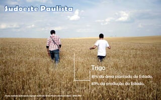 Trigo
                                                                                            81% da área plantada do E t d
                                                                                                d á      l t d d Estado.
                                                                                            83% da produção do Estado.

Fonte: Instituto de Economia Agrícola do Estado de São Paulo (referência 2008). IBGE 2007
 