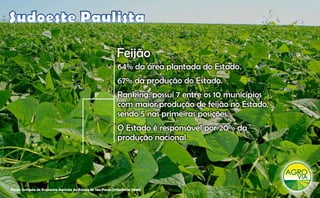 Feijão
                                                               F ijã
                                                               64% da área plantada do Estado.
                                                               67% da produção do Estado.
                                                               Ranking: possuí 7 entre os 10 municípios
                                                               com maior produção de feijão no Estado,
                                                               sendo 5 nas primeiras posições.
                                                               O Estado é responsável por 20% da
                                                               produção nacional.




Fonte: Instituto de Economia Agrícola do Estado de São Paulo (referência 2008)
 