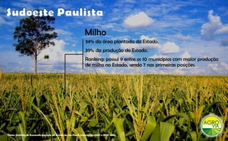 Milho
                                                                 34% da área plantada do Estado.
                                                                 39% da produção do Estado.
                                                                        p    ç
                                                                 Ranking: possuí 9 entre os 10 municípios com maior produção
                                                                 de milho no Estado, sendo 7 nas primeiras posições.




Fonte: Instituto de Economia Agrícola do Estado de São Paulo (referência 2008) e IBGE 2007.
 