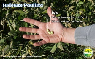 Soja
                                                                                 20% da área plantada do Estado.
                                                                                 21% da produção do Estado.




Fonte: Instituto de Economia Agrícola do Estado de São Paulo (referência 2008)
 