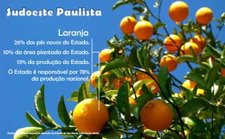 Laranja
      26% dos pés novos do Estado.
10% da área plantada do Estado
                        Estado.
         13% da produção do Estado.
 O Estado é responsável por 78%
         da produção nacional.




 Fonte: Instituto de Economia Agrícola do Estado de São Paulo (referência 2008)
 