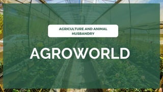 AGROWORLD
AGRICULTURE AND ANIMAL
HUSBANDRY
 