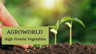 AGROWORLD
01
High Protein Vegetables
 