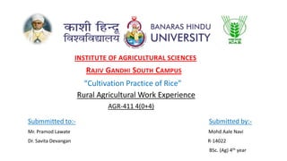 Rural Agricultural Work Experience
AGR-411 4(0+4)
INSTITUTE OF AGRICULTURAL SCIENCES
RAJIV GANDHI SOUTH CAMPUS
“Cultivation Practice of Rice”
Submmitted to:- Submitted by:-
Mr. Pramod Lawate Mohd Aale Navi
Dr. Savita Devangan R-14022
BSc. (Ag) 4th year
 