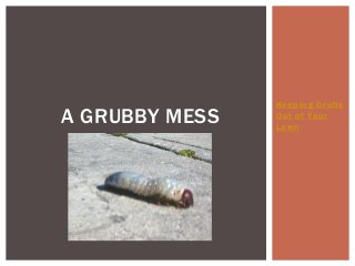 A GRUBBY MESS
Keeping Grubs
Out of Your
Lawn