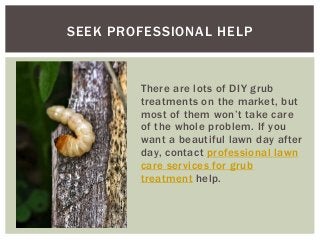 SEEK PROFESSIONAL HELP
There are lots of DIY grub
treatments on the market, but
most of them won’t take care
of the whole problem. If you
want a beautiful lawn day after
day, contact professional lawn
care services for grub
treatment help.