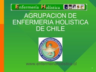 AGRUPACION DE ENFERMERIA HOLISTICA DE CHILE www.enfermeriaholistica.cl   