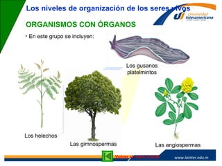 www.lainter.edu.mxwww.lainter.edu.m
x
ORGANISMOS CON ÓRGANOS
• En este grupo se incluyen:
Los niveles de organización de los seres vivos
Los gusanos
platelmintos
Los helechos
Las gimnospermas Las angiospermas
Volver al menú inicial
 