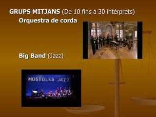 GRUPS MITJANS  (De 10 fins a 30 intèrprets) Orquestra de corda   Big Band  (Jazz) 