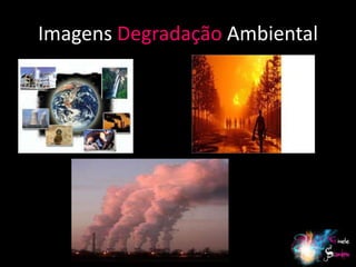 Imagens Degradação Ambiental




                               6
 