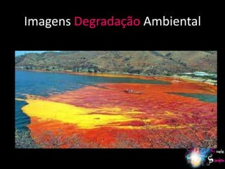 Imagens Degradação Ambiental




                               7
 