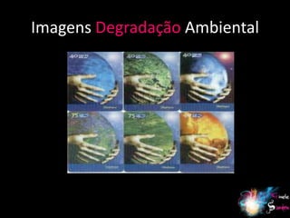 Imagens Degradação Ambiental




                               8
 