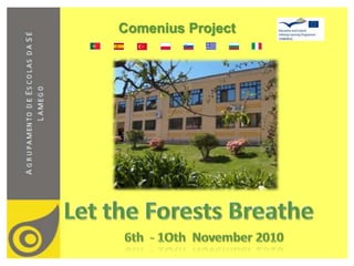 Comenius Project Let the Forests Breathe 6th  - 1oth November 2010 