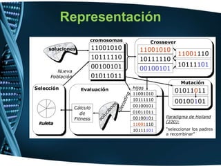 Representación 