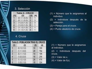 (1) = Número que le asignamos al individuo. (2) = Individuos después de la selección. (3) = Pareja para el cruce. (4) = Punto aleatorio de cruce. (1) = Número que le asignamos al individuo. (2) = Individuos después del cruce. (3) = Valor de x. (4) = Valor de f(x). 3. Selección 4. Cruce 