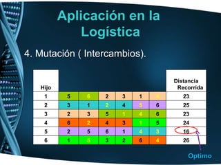 Aplicación en la  Logística 4. Mutación ( Intercambios). Optimo Hijo Distancia Recorrida 1 5 6 2 3 1 4 23 2 3 1 2 4 5 6 25 3 2 3 5 1 4 6 23 4 6 2 4 3 1 5 24 5 2 5 6 1 4 3 16 6 1 5 3 2 6 4 26 