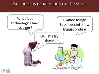 Opening ILRI’s knowledge and research: Initial reflections on results, outcomes and impacts of adopting open