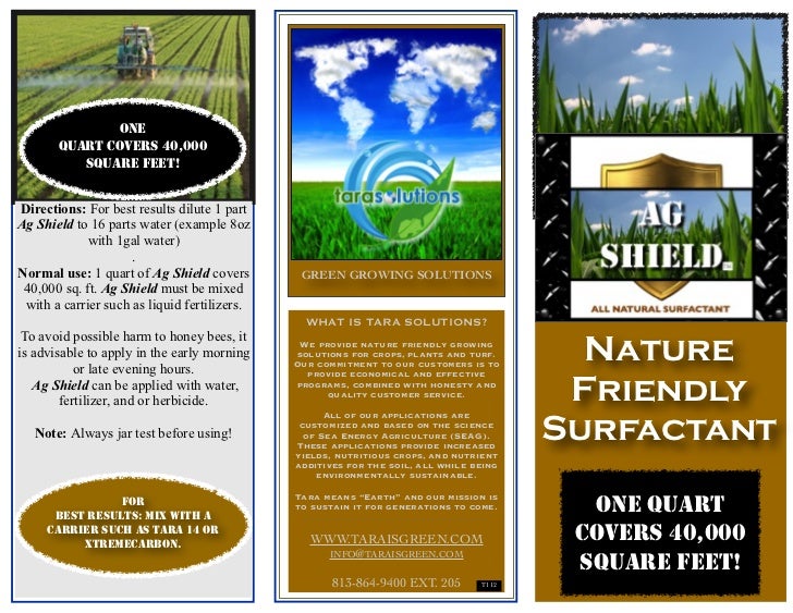 three panel brochure