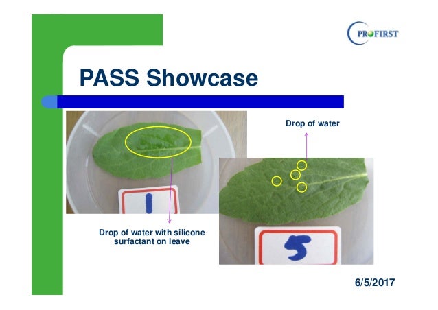 PASS Agricultural silicone surfactant from Profirst