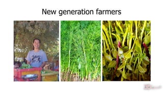 New generation farmers
42
 