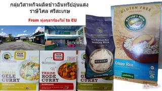 กลุ่มวิสำหกิจผลิตข ้ำวอินทรีย์อุ่นแสง
รำษีไศล ศรีสะเกษ
From ทุ่งกุลาร้องไห้ to EU
44
 