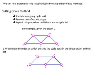 Different Types of Graphs in Graph Theory.ppt