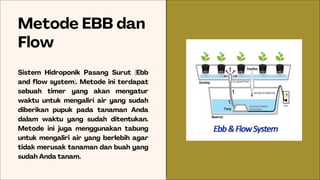 Metode EBB dan
Flow
Sistem Hidroponik Pasang Surut (Ebb
and flow system). Metode ini terdapat
sebuah timer yang akan mengatur
waktu untuk mengaliri air yang sudah
diberikan pupuk pada tanaman Anda
dalam waktu yang sudah ditentukan.
Metode ini juga menggunakan tabung
untuk mengaliri air yang berlebih agar
tidak merusak tanaman dan buah yang
sudah Anda tanam.
 