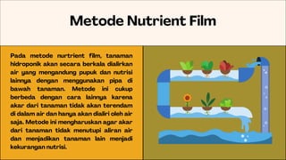 Metode Nutrient Film
Pada metode nurtrient film, tanaman
hidroponik akan secara berkala dialirkan
air yang mengandung pupuk dan nutrisi
lainnya dengan menggunakan pipa di
bawah tanaman. Metode ini cukup
berbeda dengan cara lainnya karena
akar dari tanaman tidak akan terendam
di dalam air dan hanya akan dialiri oleh air
saja. Metode ini mengharuskan agar akar
dari tanaman tidak menutupi aliran air
dan menjadikan tanaman lain menjadi
kekurangan nutrisi.
 