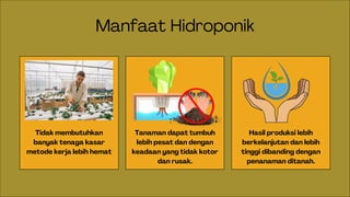 Tidak membutuhkan
banyak tenaga kasar
metode kerja lebih hemat
Manfaat Hidroponik
Tanaman dapat tumbuh
lebih pesat dan dengan
keadaan yang tidak kotor
dan rusak.
Hasil produksi lebih
berkelanjutan dan lebih
tinggi dibanding dengan
penanaman ditanah.
 
