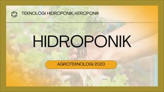 HIDROPONIK
AGROTEKNOLOGI 2020
TEKNOLOGI HIDROPONIK/AEROPONIK
 