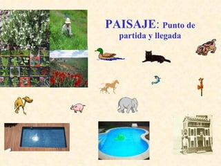 PAISAJE :  Punto de partida y llegada 
