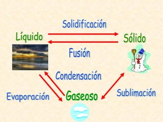 Solidificación Condensación Evaporación Sublimación Fusión Líquido Sólido Gaseoso 